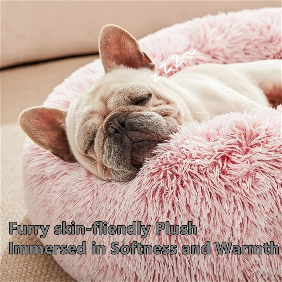 dog curled up in donut bed