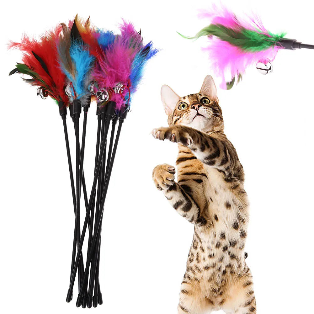Cat playing with feather wand toy