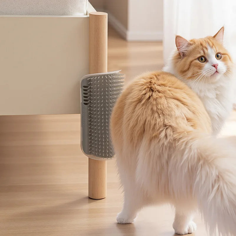 Cat rubbing against corner self-groomer